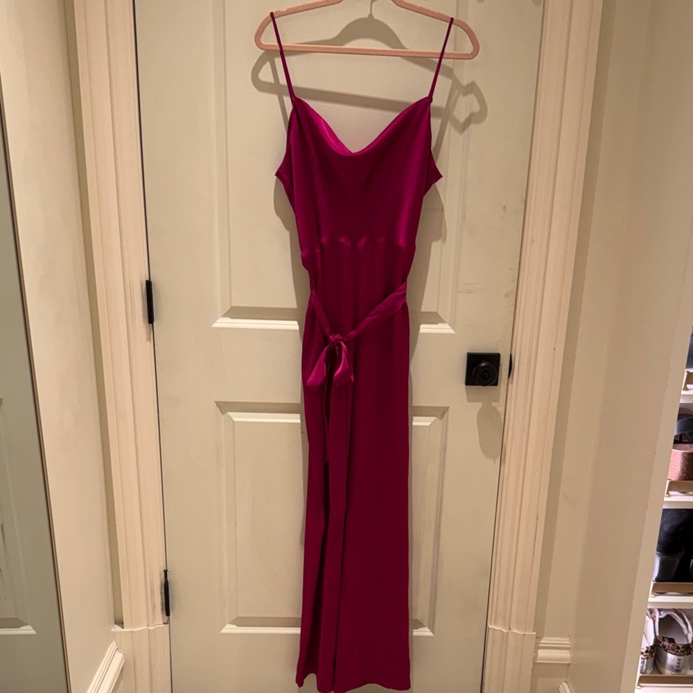 Express Magenta pants jumpsuit